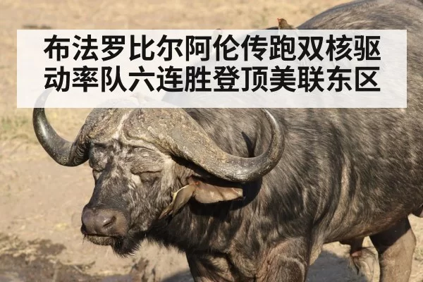 布法罗比尔阿伦传跑双核驱动率队六连胜登顶美联东区