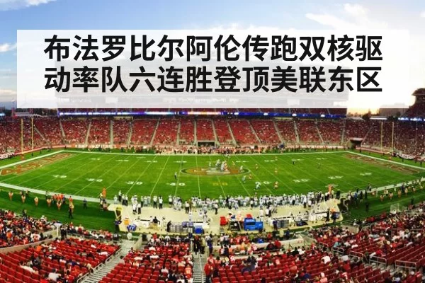 NFL stadium crowd