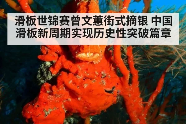 滑板世锦赛曾文蕙街式摘银 中国滑板新周期实现历史性突破篇章