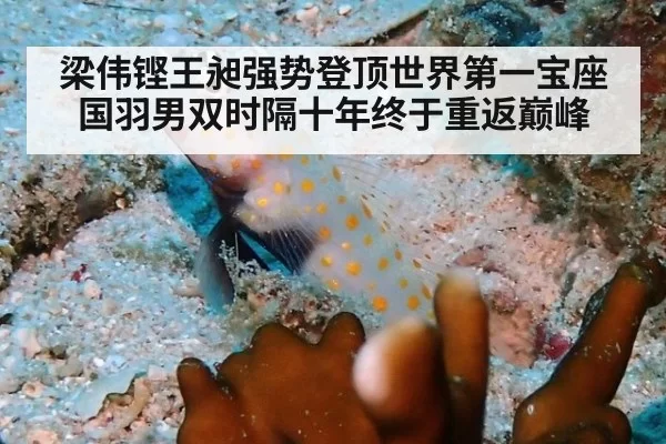 梁伟铿王昶强势登顶世界第一宝座国羽男双时隔十年终于重返巅峰
